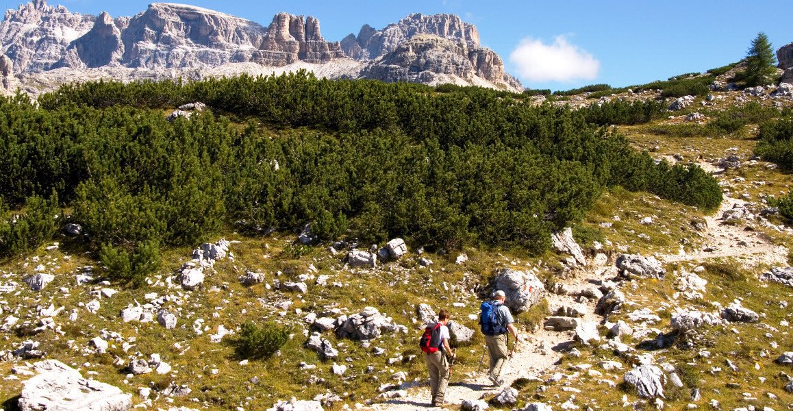 Hiking trails in the Alps