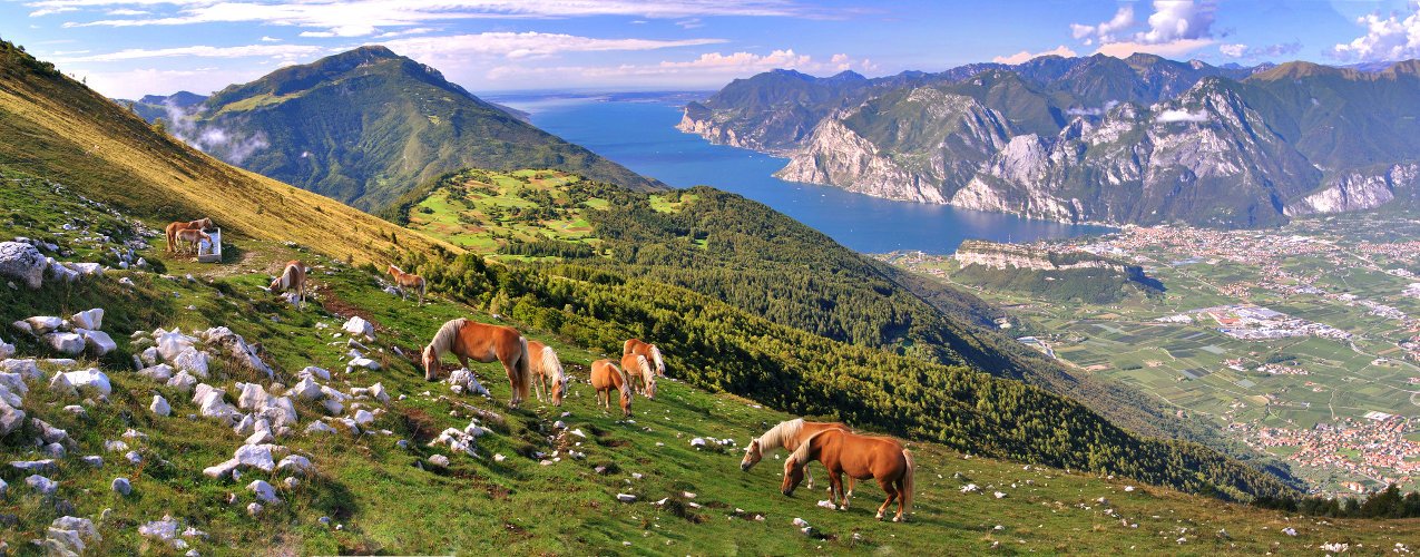 Scenic lake-view hiking trails and hut-to-hut tours at Lake Garda