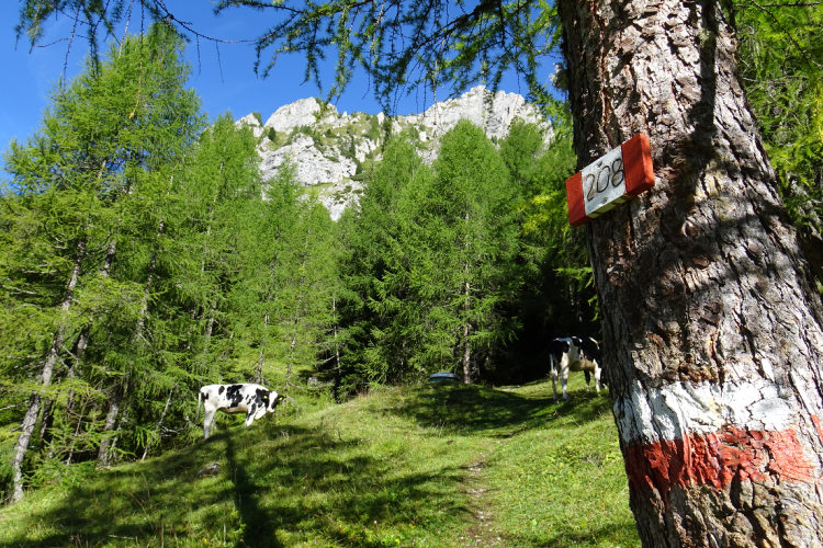 Friuli Dolomites Hiking Traverse